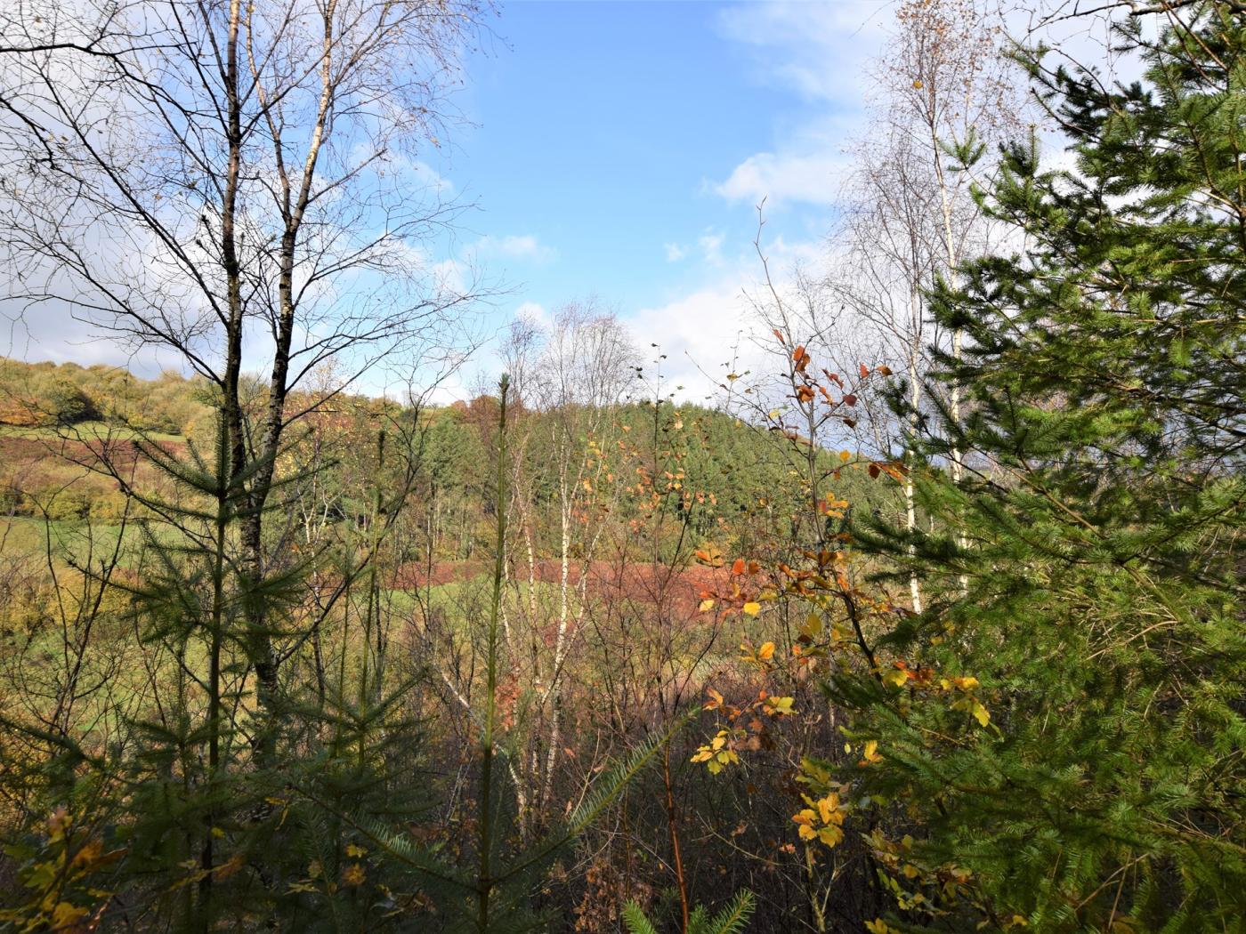 Property image 10 for HC2147