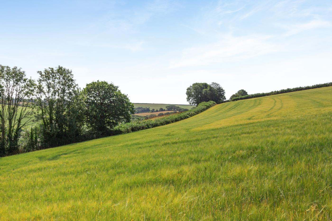 Property image 22 for HC295719