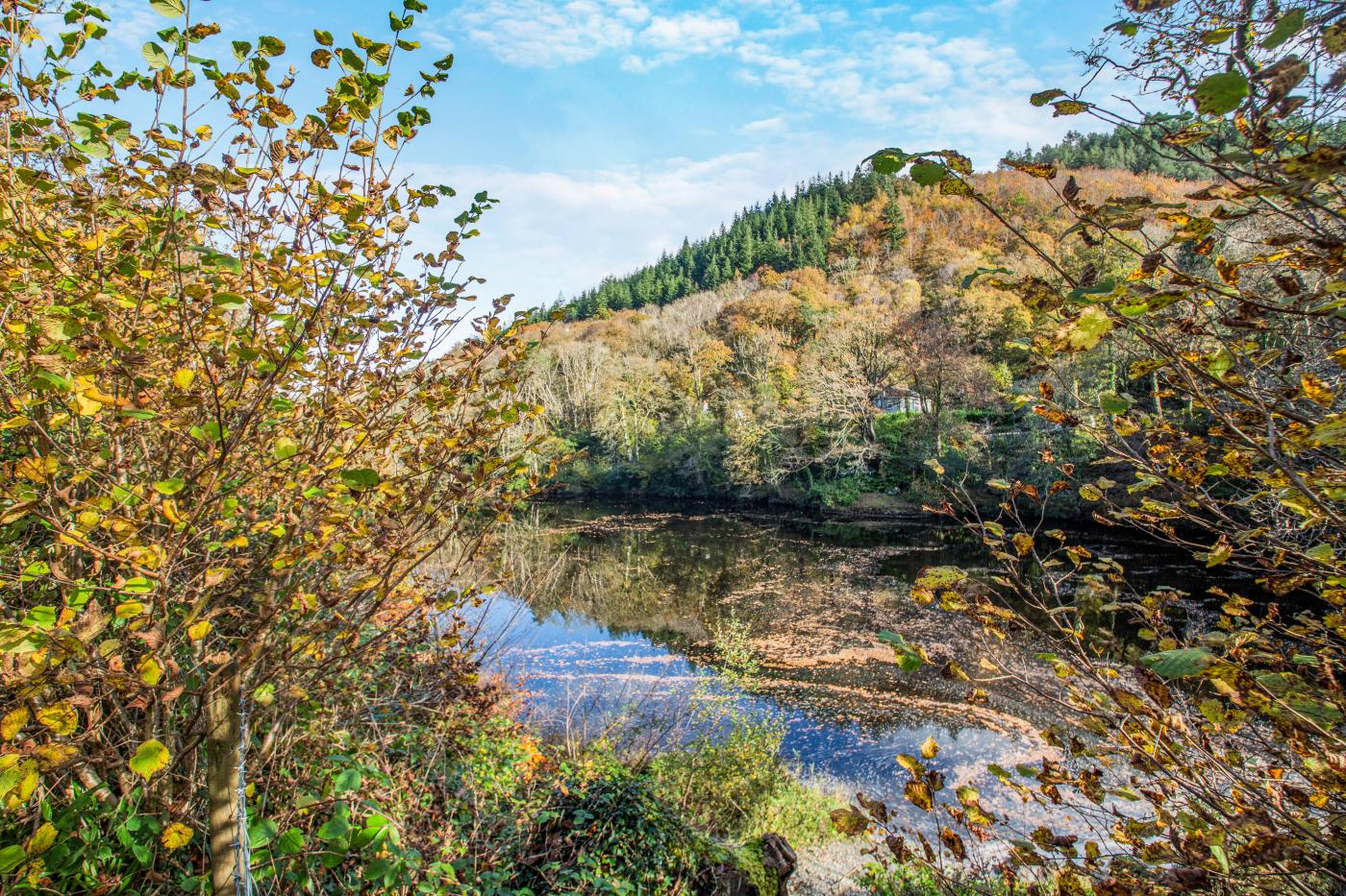 Property image 21 for HC274940