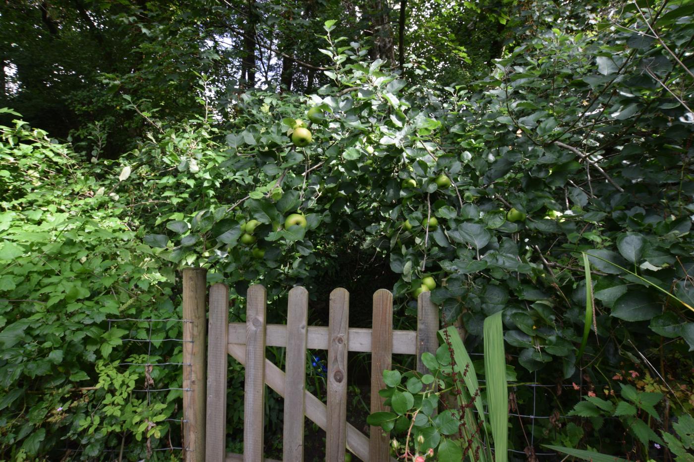 Property image 21 for HC280276