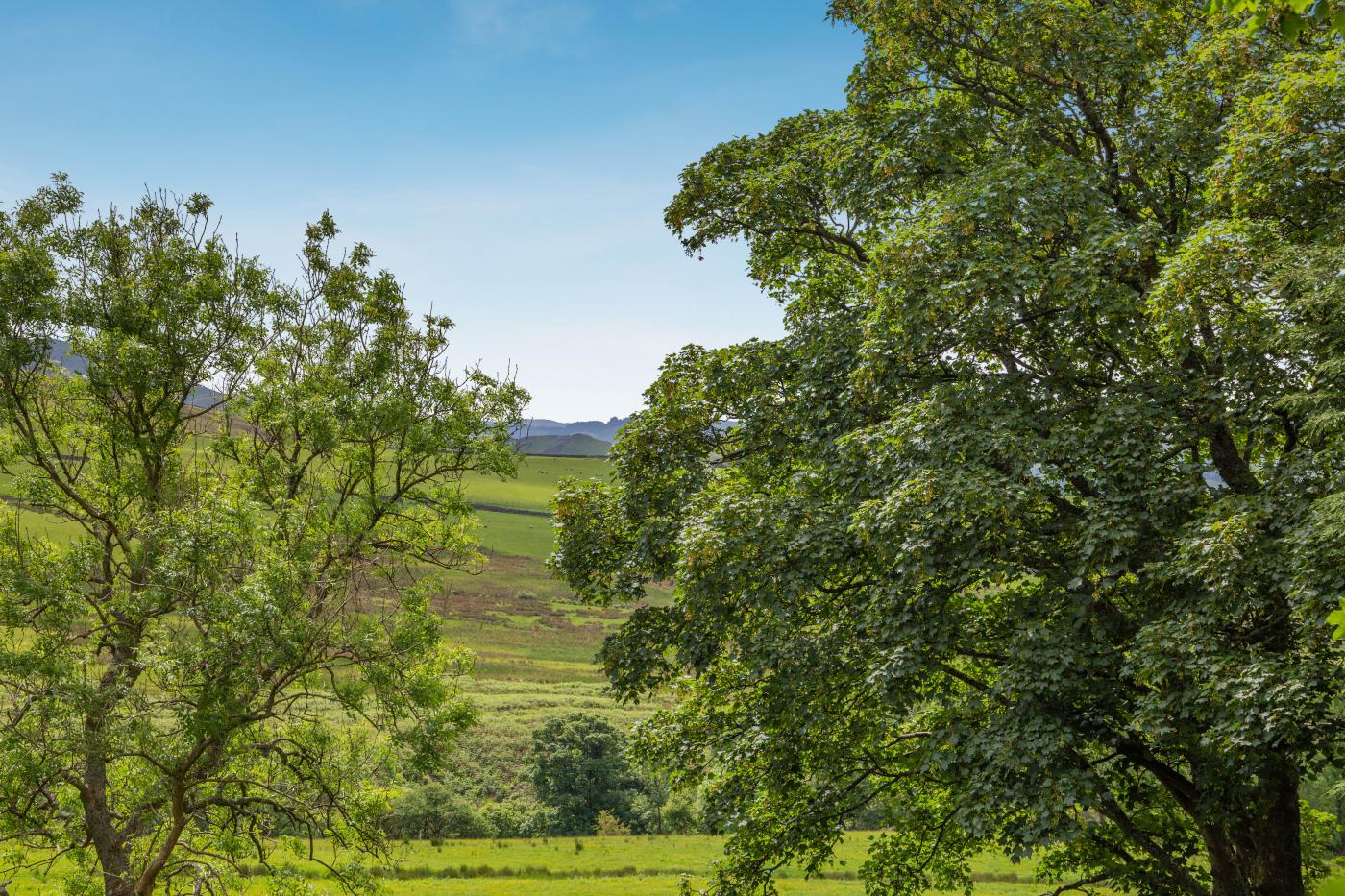 Property image 20 for HC284112