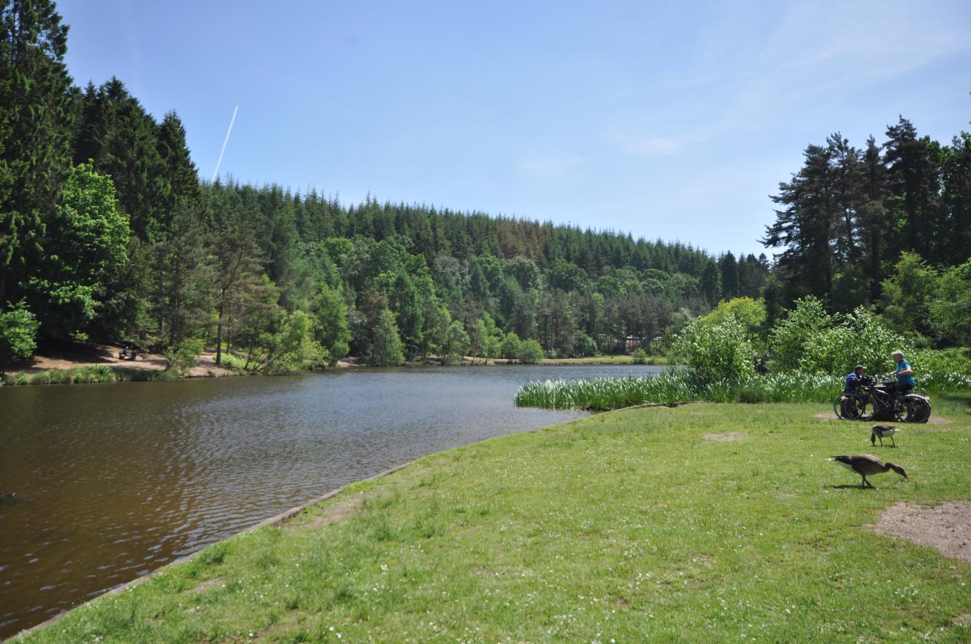 Property image 6 for HC291757