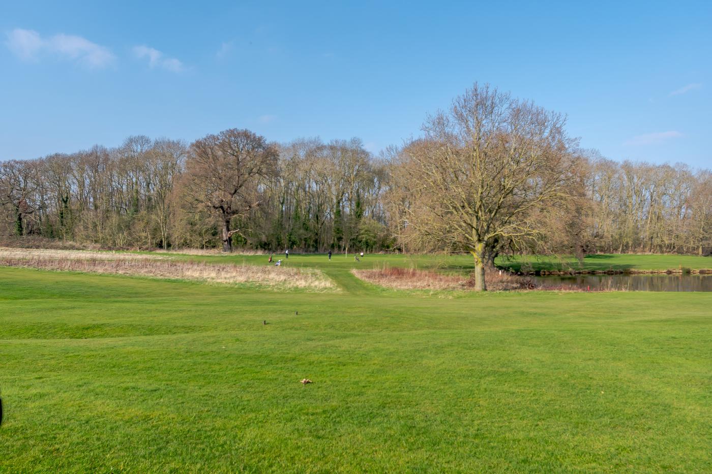 Property image 30 for HC280604