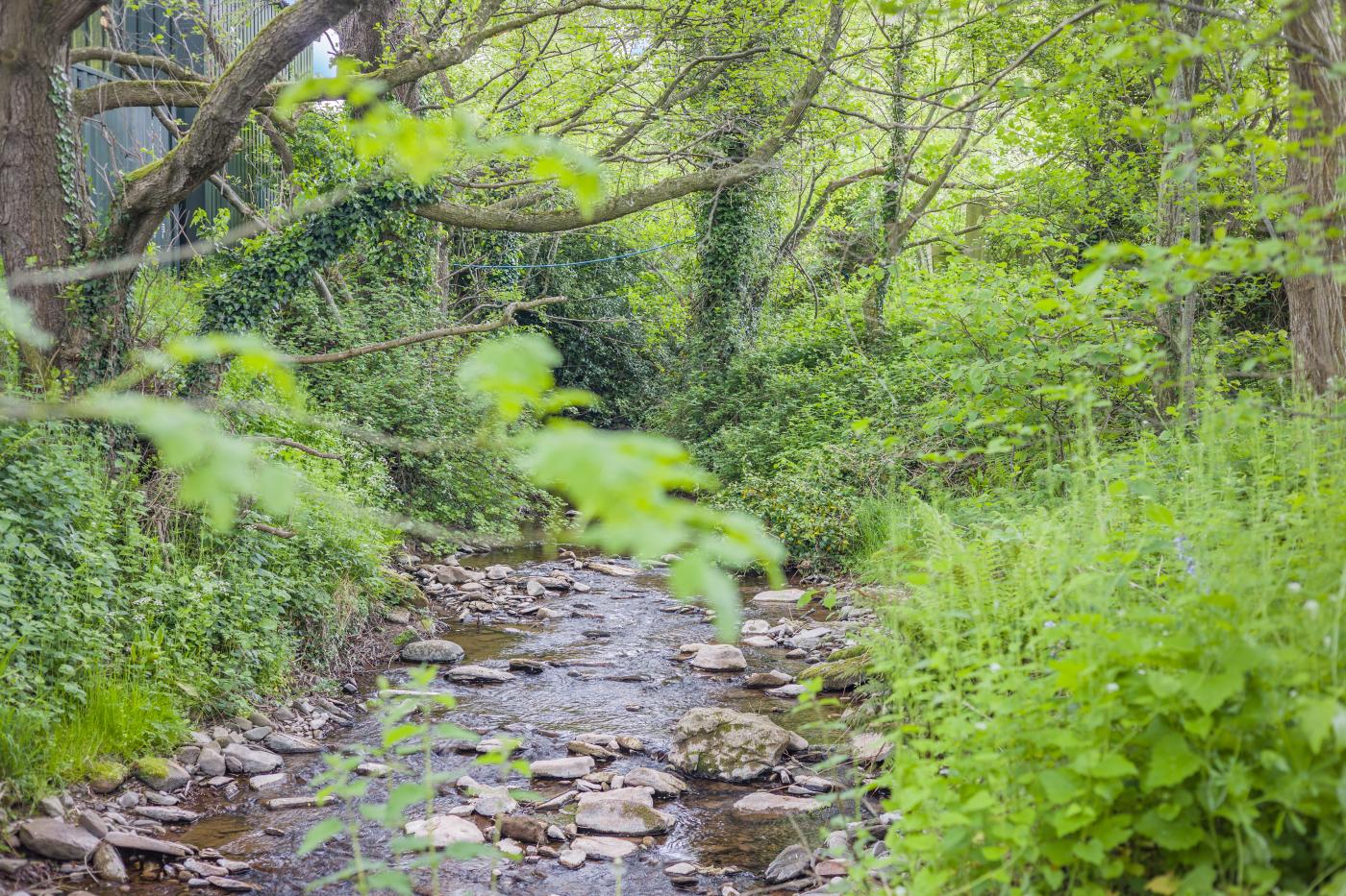 Property image 17 for HC286352