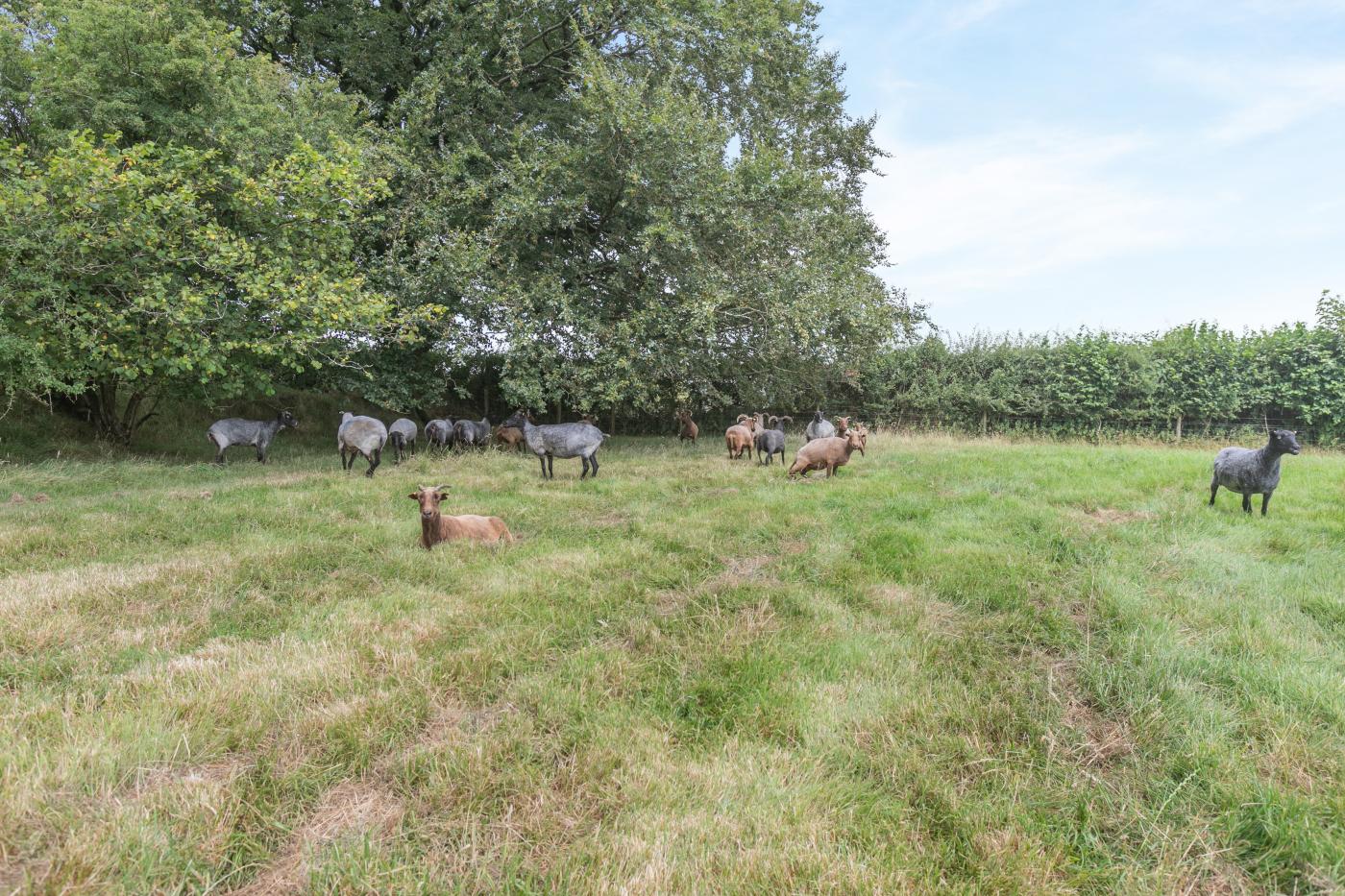 Property image 21 for HC470