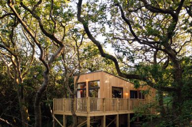 Leopard Treehouse (OC-C45240) Leopard Treehouse (OC-C45240)