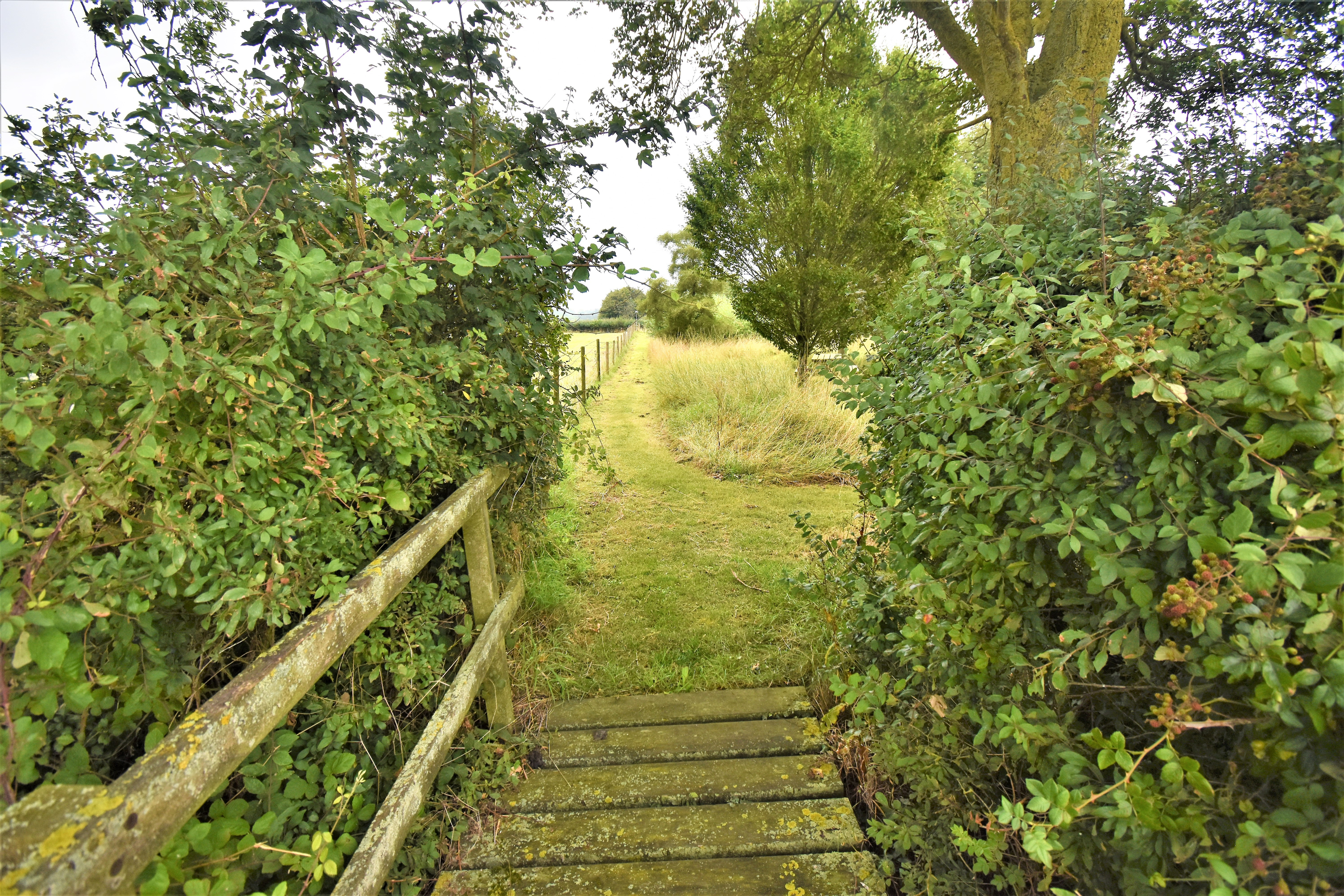 Bloomsbury | Bloomsbury in Wissett, near Halesworth, Suffolk