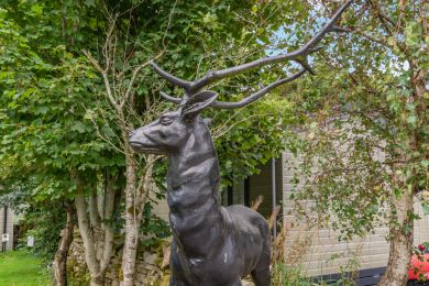 Dalesman Studio Lodge 1 (OC-D46059) Dalesman Studio Lodge 1 (OC-D46059)