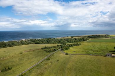 Craster Colours (OC-588874)