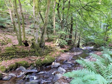Granary Cottage - Heddon Valley Mill (OC-89766) Granary Cottage - Heddon Valley Mill (OC-89766)