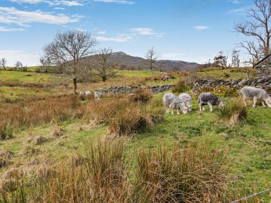 Heathwaite Farm - Heathwaite Cottage (OC-LCC23)
