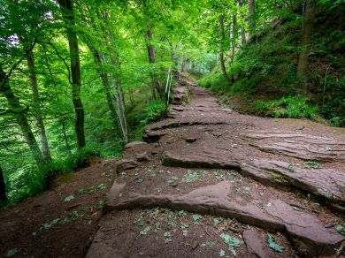 Hadrians Wall Escape (OC-57159) Hadrians Wall Escape (OC-57159)