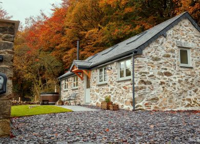 Coed Llydan (OC-C30466)
