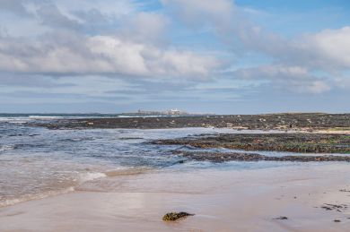 Links Cottage - Bamburgh (OC-L31103)