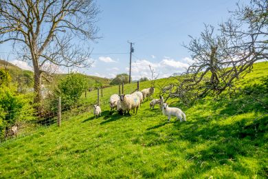 Plas Uchaf Farm Retreat (OC-P32089)