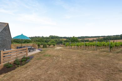 Watermans Vineyard Barn (OC-W31032) Watermans Vineyard Barn (OC-W31032)