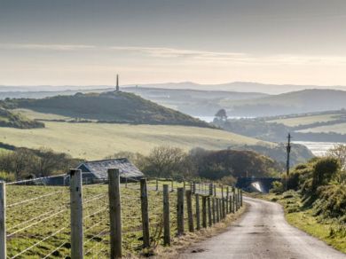 Padstow - Treetops (OC-77748) Padstow - Treetops (OC-77748)
