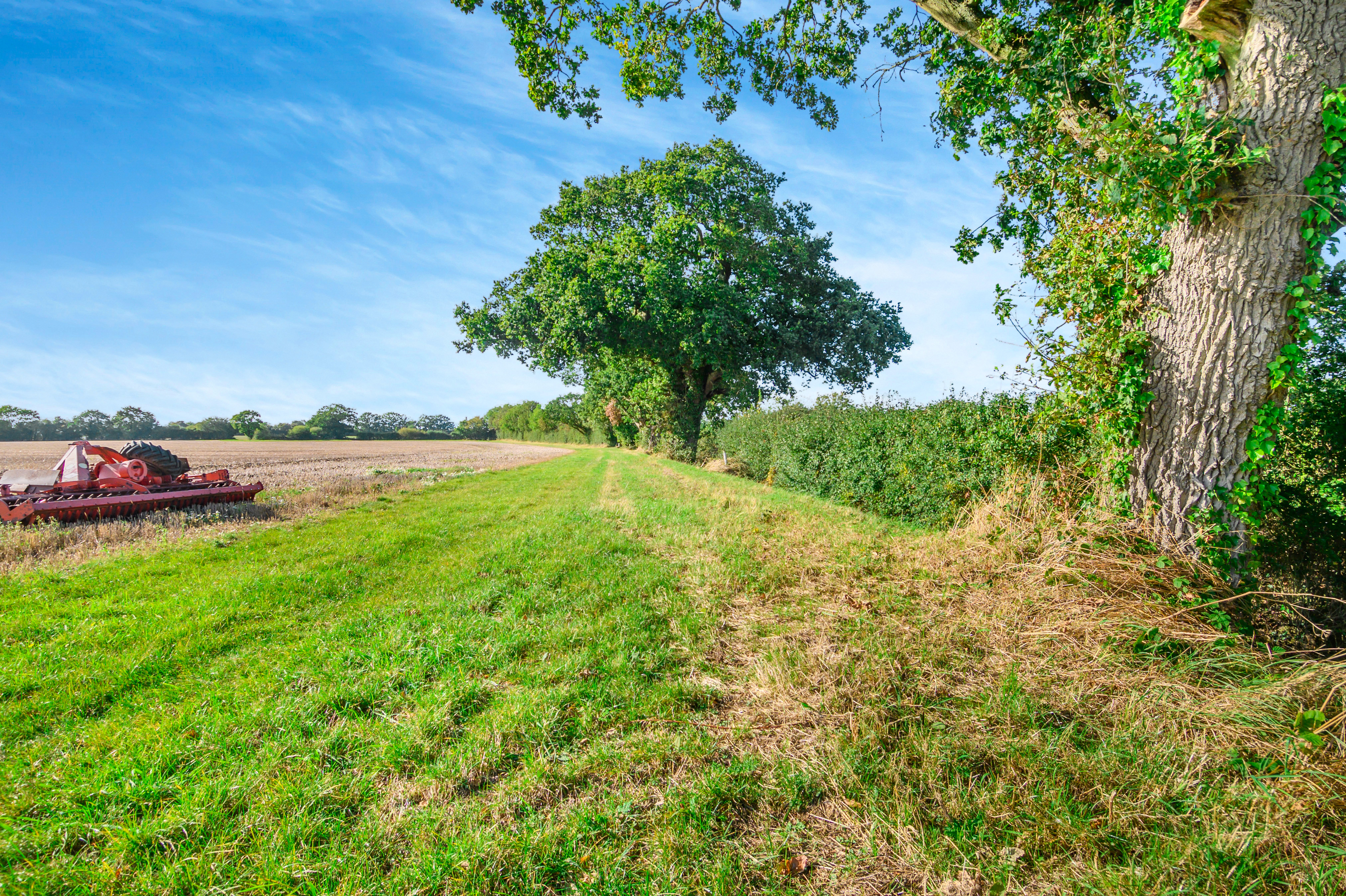 Bloomsbury | Bloomsbury in Wissett, near Halesworth, Suffolk