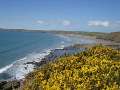 Fulmar, Folkeston Hill 41 (OC-FB098) Fulmar, Folkeston Hill 41 (OC-FB098)