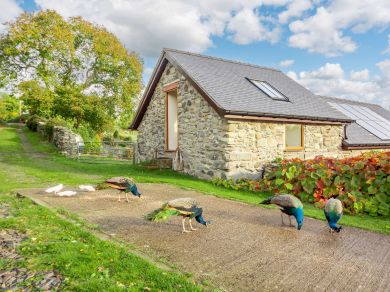 Glyn Bach Barn (OC-90040) Glyn Bach Barn (OC-90040)
