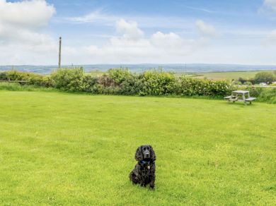 Pippin Cottage At Crossways (OC-82998)