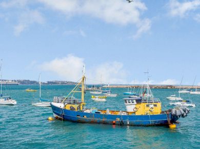 Ocean View - Brixham (OC-82808) Ocean View - Brixham (OC-82808)