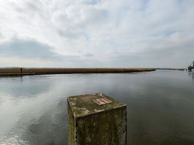 Furtherfield (OC-C31116)