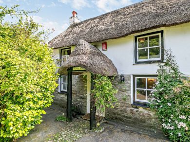 Tuckaway Thatch (OC-72422) Tuckaway Thatch (OC-72422)