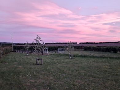 The Hedgerow Hide (OC-S34109) The Hedgerow Hide (OC-S34109)