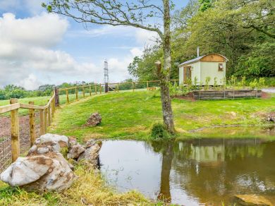 Lavender Hut - Lamphey (OC-89099) Lavender Hut - Lamphey (OC-89099)