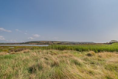 Beachside - West Dale (OC-B32910) Beachside - West Dale (OC-B32910)