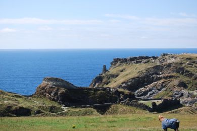 Pendragon - Tintagel (OC-P33627)
