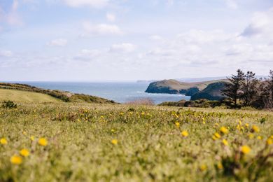 Hillcote (OC-L50060)