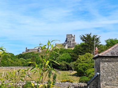 Plum Tree Cottage - Corfe Castle (OC-IC096)