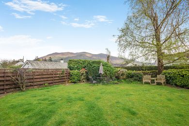 Thornthwaite Elm (OC-28382) Thornthwaite Elm (OC-28382)