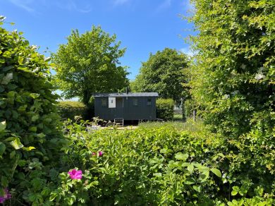 The Curlew Shepherds Hut (OC-87592)