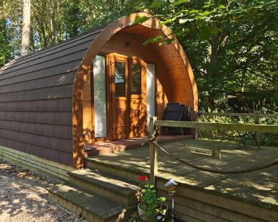 The Peacock Pod (OC-T33438) The Peacock Pod (OC-T33438)