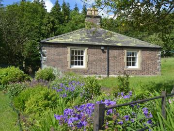 Harp Cottage - Offa