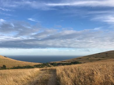 Seafield - Worth (OC-DC140) Seafield - Worth (OC-DC140)