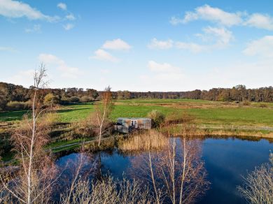 The Lily Pad - Norfolk (OC-76493)