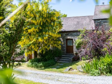 Fron Isaf Cottages - Ysgubor Ganol (OC-Y30099)