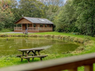 Waldon Valley Lodges - Oak (OC-85563) Waldon Valley Lodges - Oak (OC-85563)