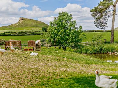 Roseberry Pond Cottage (OC-83328)