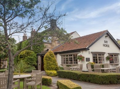 Ivy Cottage - Great Broughton (OC-G0080) Ivy Cottage - Great Broughton (OC-G0080)