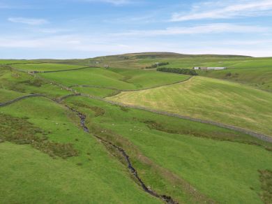 Shepherd's Lodge - Arkengarthdale (OC-S32440)