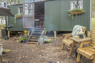 Forget-Me-Not - Holt Glamping (OC-F39007)