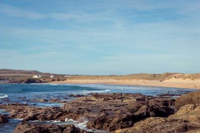 Strand Line (OC-B584417) Strand Line (OC-B584417)
