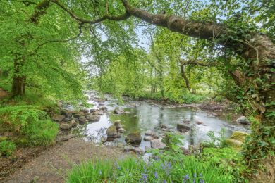 Gyda'r Llif with the flow (OC-G38228) Gyda'r Llif with the flow (OC-G38228)