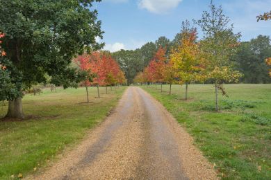Meadow View Lodge (OC-M46501) Meadow View Lodge (OC-M46501)