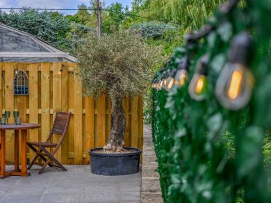 Magnolia - The Coach House (OC-96127) Magnolia - The Coach House (OC-96127)